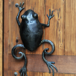 frogdo2.jpg